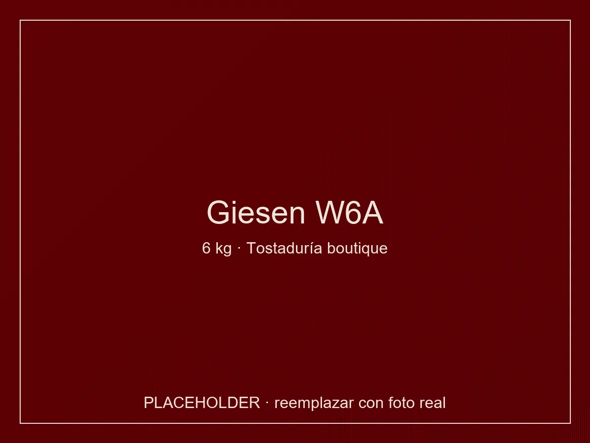 Giesen W6A tostadora industrial 6 kg gas con Profiler para tostaduría boutique