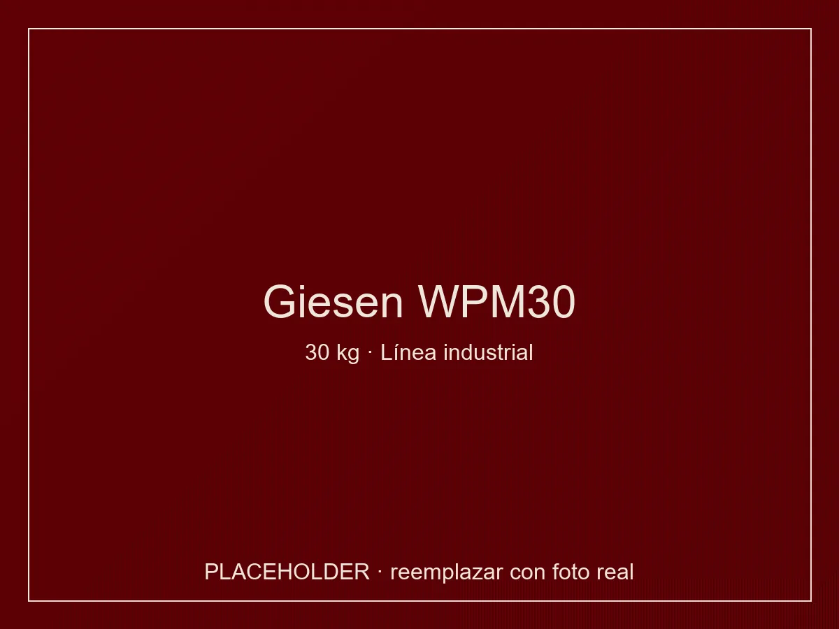 Giesen WPM30 tostadora línea Production 30 kg para producción industrial sostenida