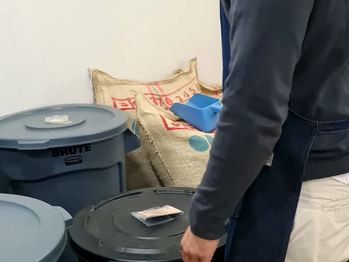 Tostador profesional con delantal en tostaduría boutique trabajando con bolsas de café verde